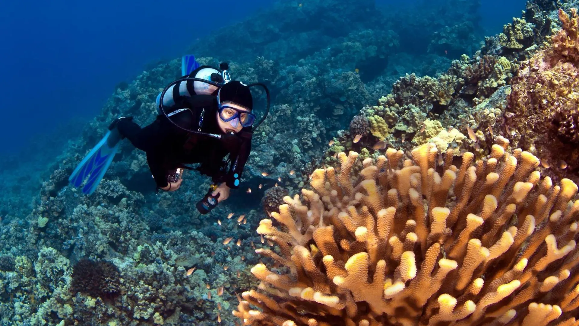 Wailea Ekolu 1604 Vila Kihei Estados Unidos da América